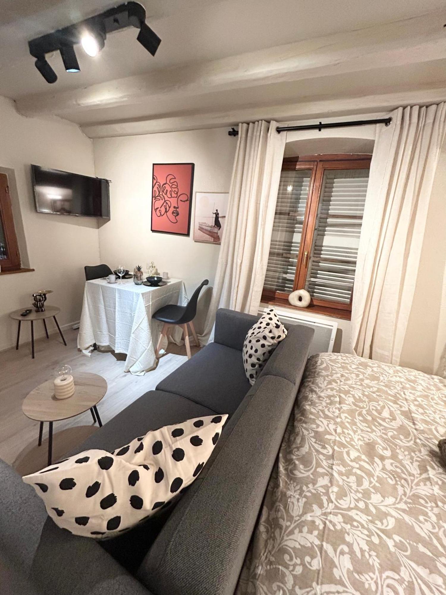 Appartement Hyper Center & Petite France - Entire