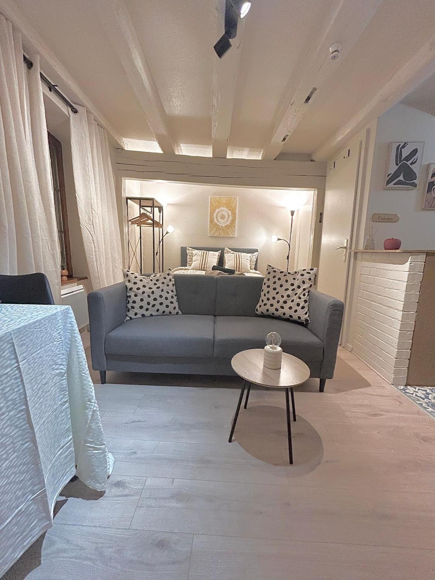 Hyper Center & Petite France - Entire Appartement Strasbourg