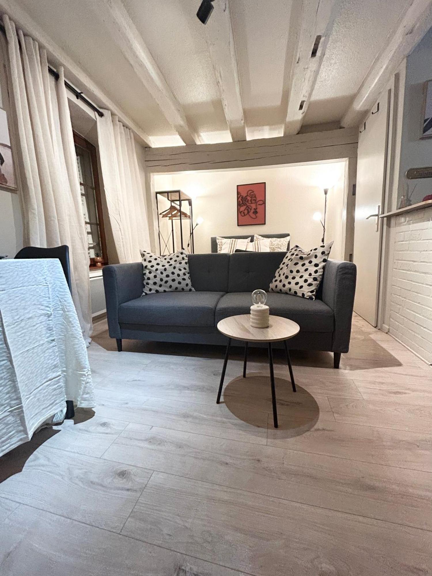 Hyper Center & Petite France - Entire Appartement *