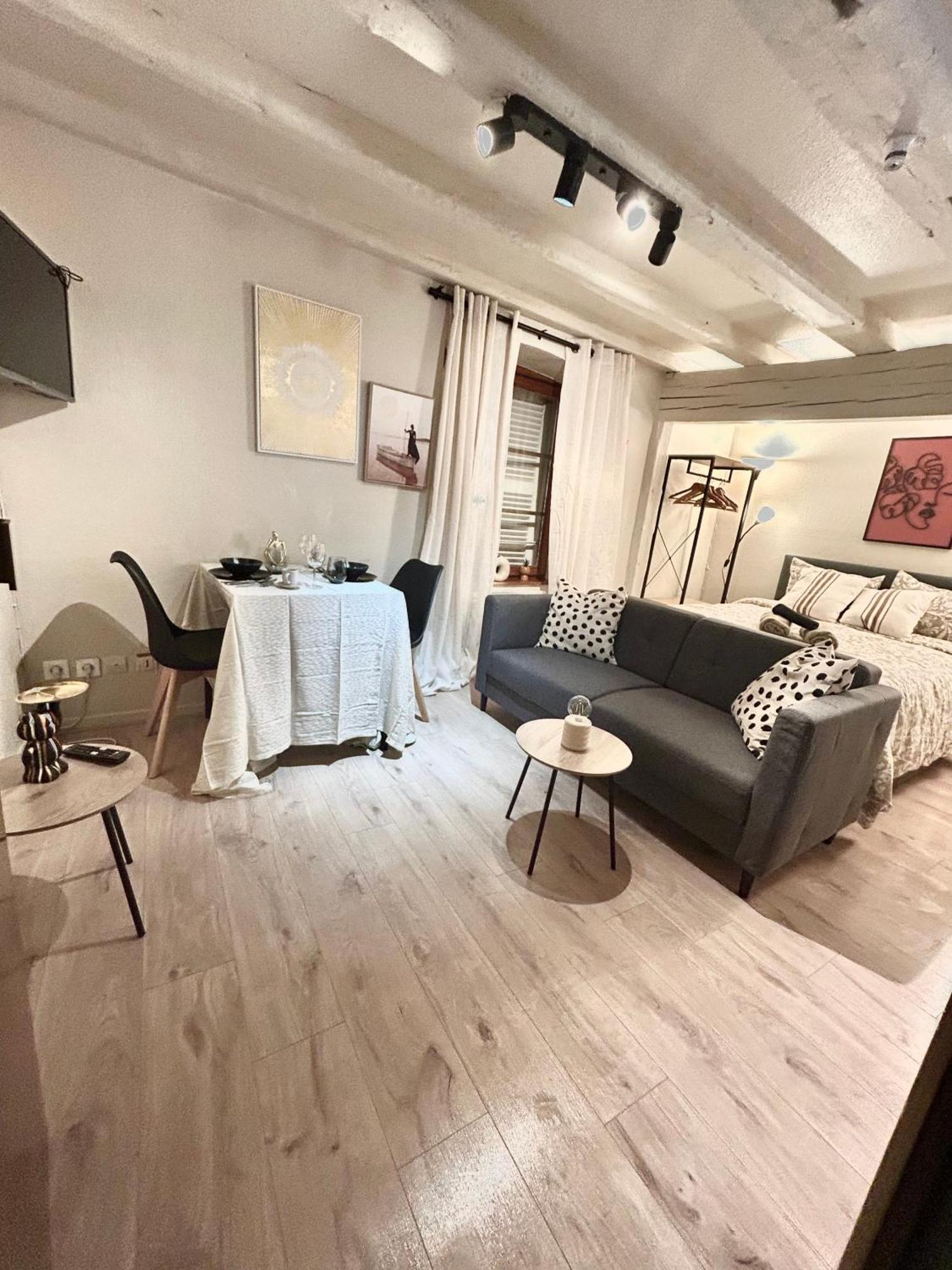Appartement Hyper Center & Petite France - Entire *