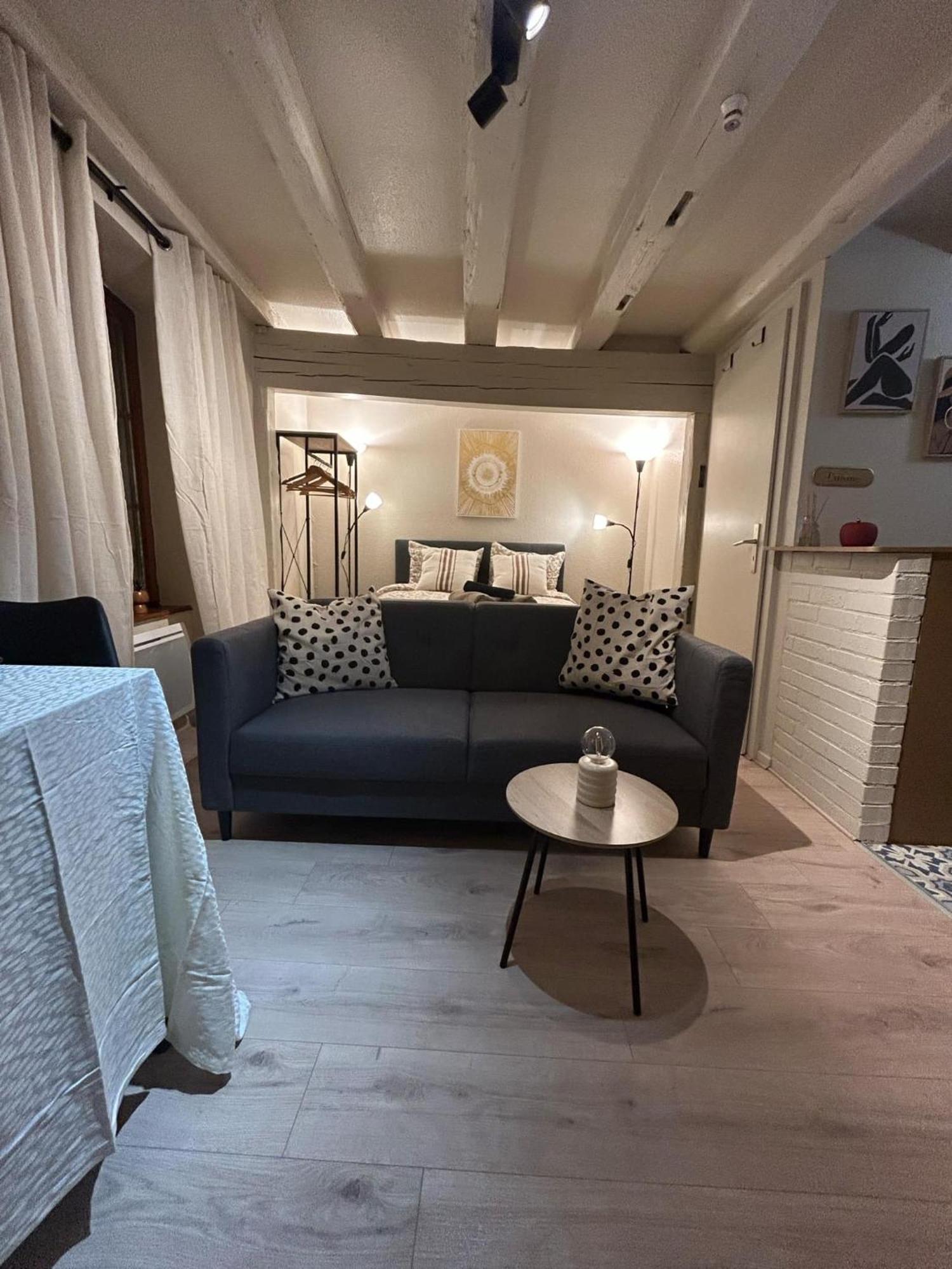 Appartement Hyper Center & Petite France - Entire *